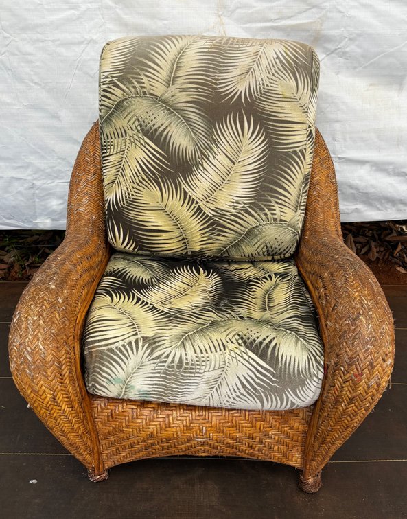 Rattan Lounge Chair with Palm Print Cushions