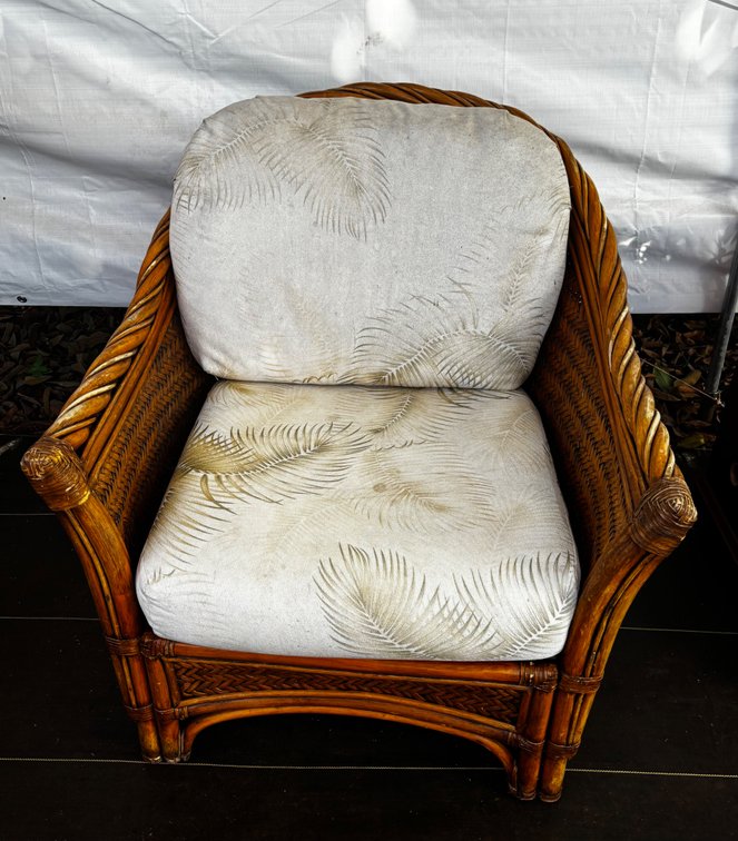 Sturdy Rattan Lounge Chair