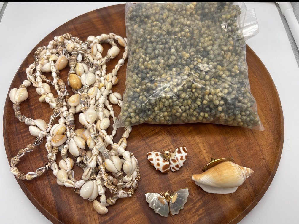 Shell Jewelry & Findings