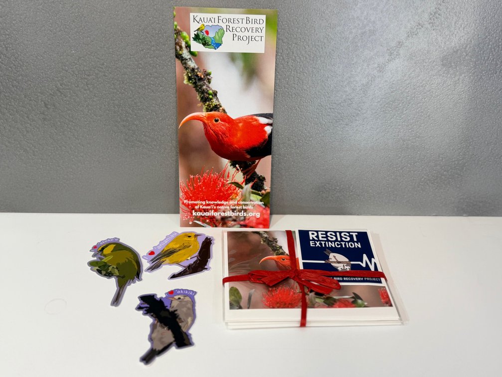 Kaua‘i Forest Birds Notecard Pack and Sticker Set