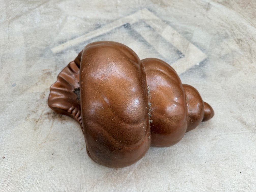 Shell-Style Wall Sconce Light Fixture