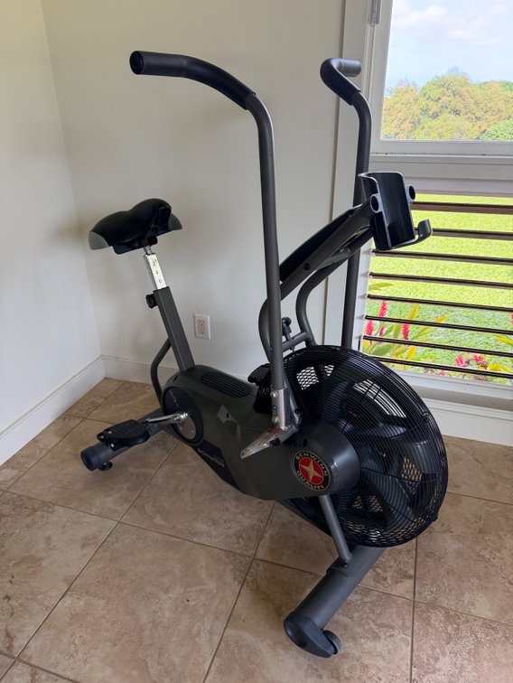 Schwinn AirDyne Exercise Bike