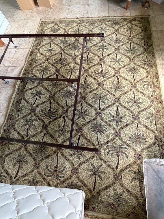 Area Rug with Tropical Motif