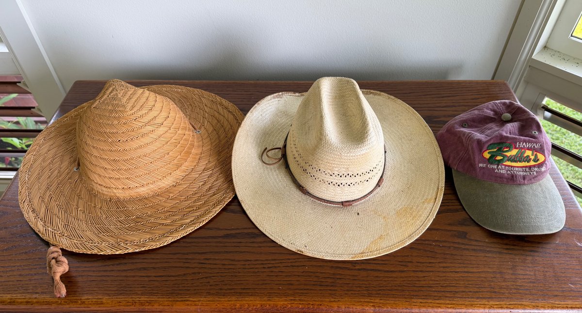 3 Hats