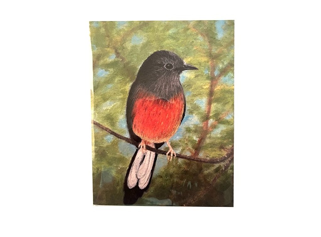 6 Bird Note Cards