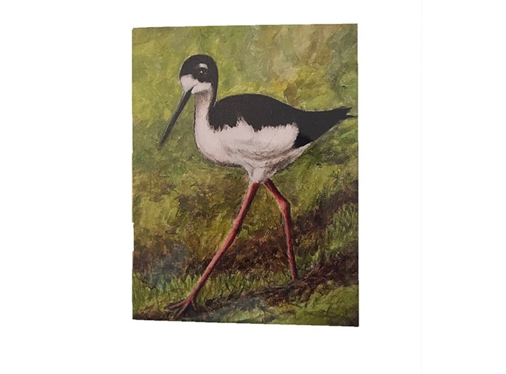 6 Bird Note Cards