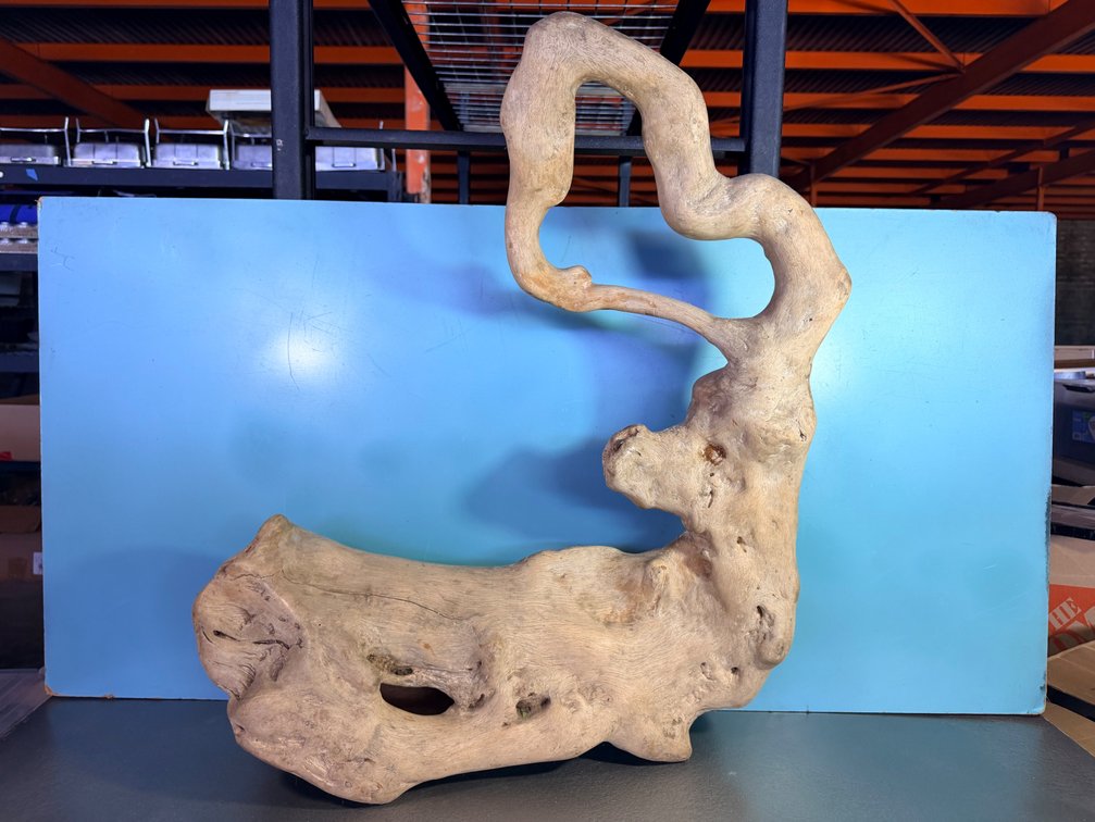 Natural Driftwood Decorative Sculpture