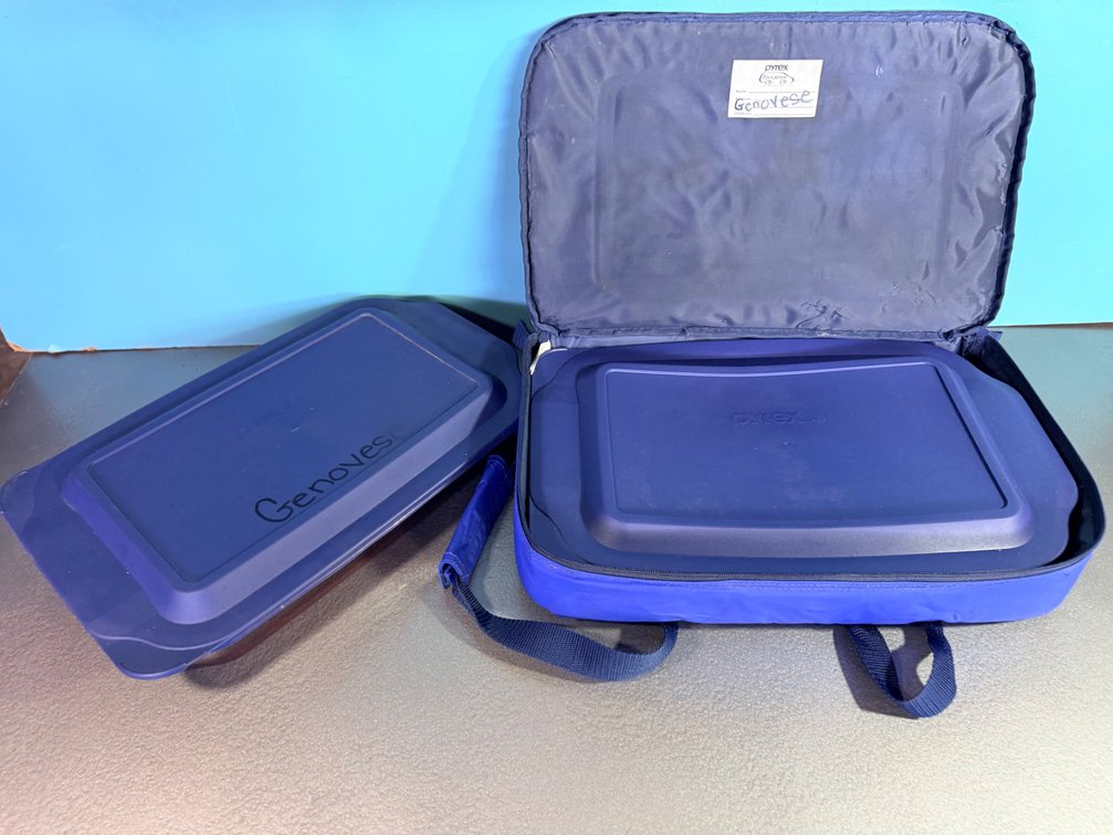 Pyrex Food Storage Containers with Insulated Carrier