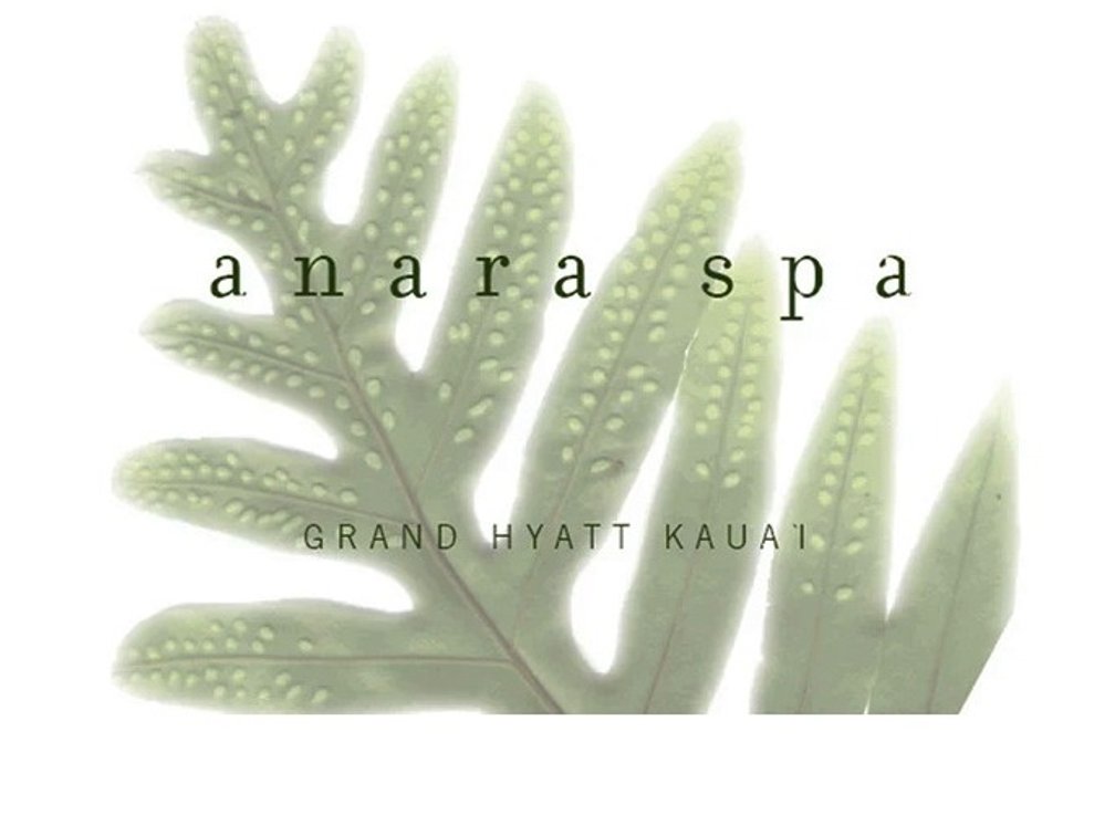 Anara Spa Hydrafacial