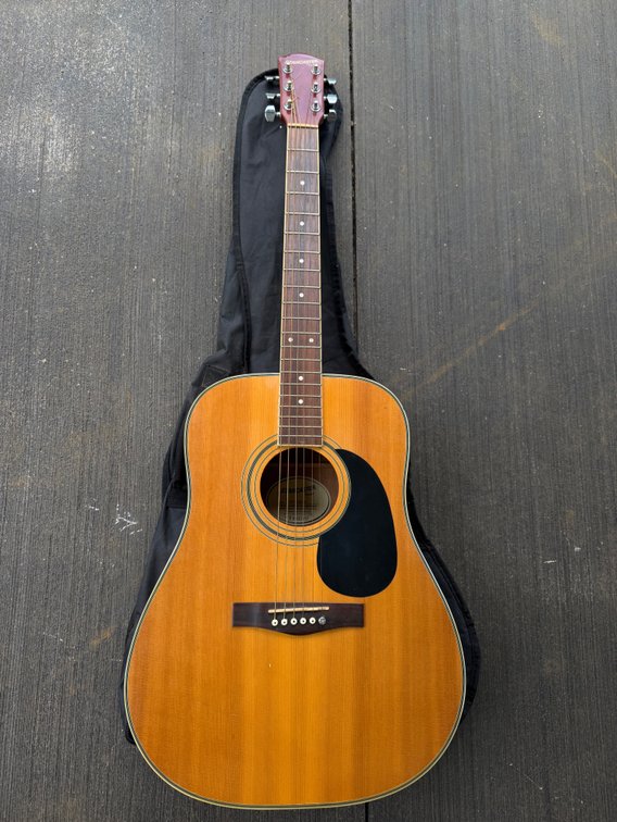 Fender Starcaster Acoustic Guitar