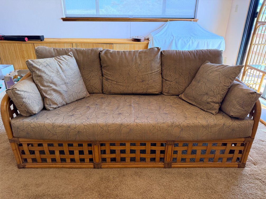 Rattan Sofa with Coordinating Cushions