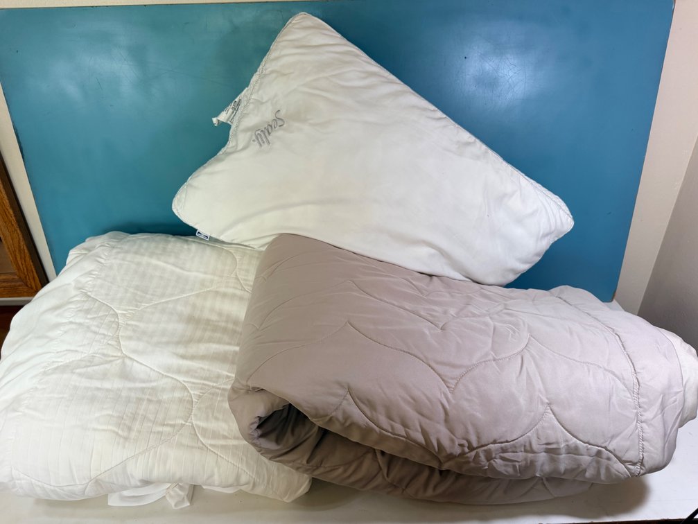 Queen Size Mattress Covers with Sealy Pillow