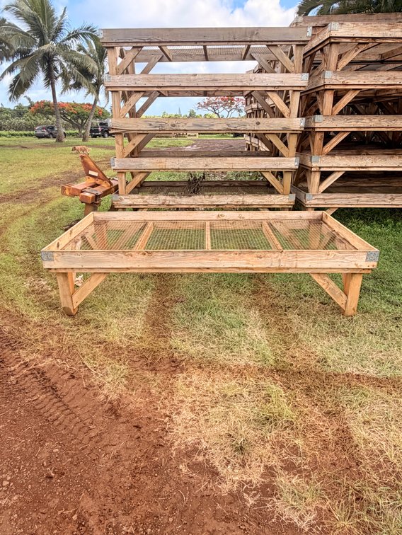 (X's 6) 8 ft x 4.2 ft Produce Drying Tables