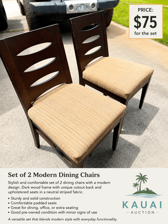 Set of 2 Modern Dining Chairs