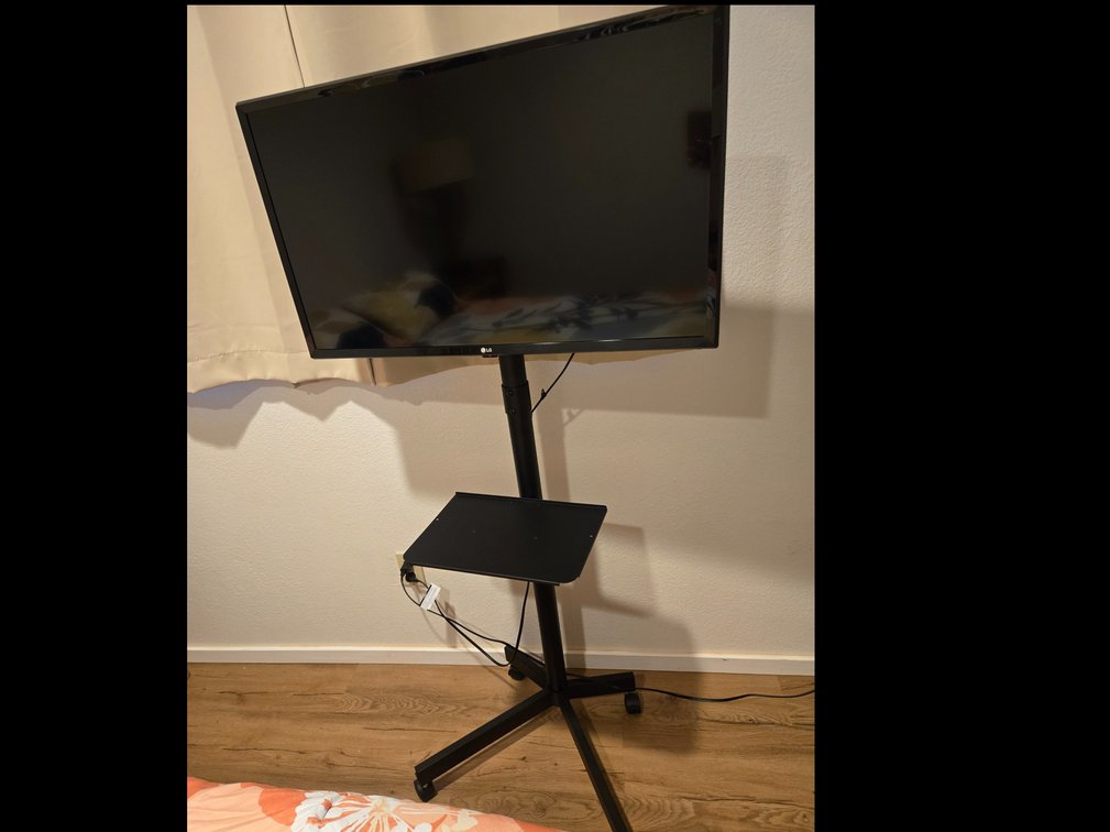 31" LG Smart TV with Wheeled Stand and Remote