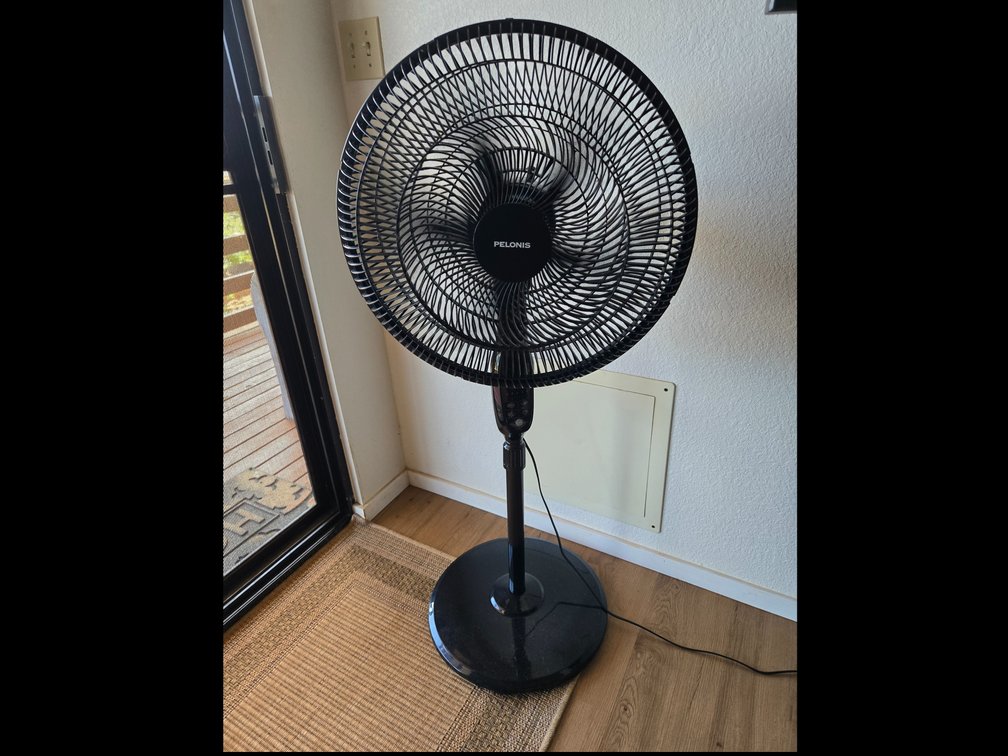 Pelonis Fan w/remote #1