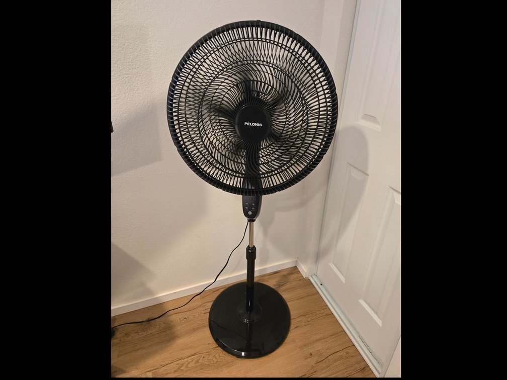 Pelonis Fan w/remote #2
