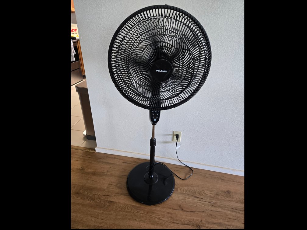 Pelonis Fan w/remote #3