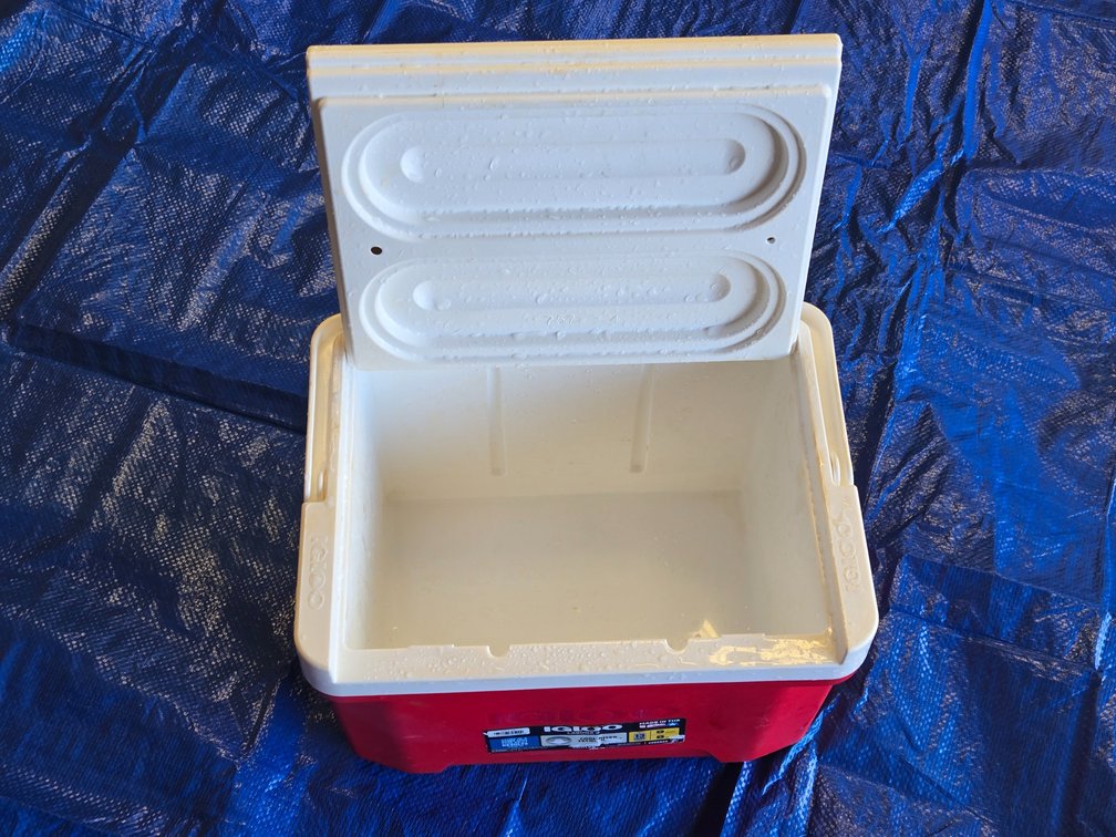 Small Igloo Cooler #2