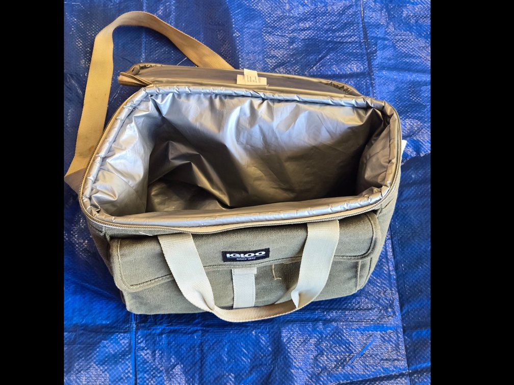 Small Igloo Zip Cooler