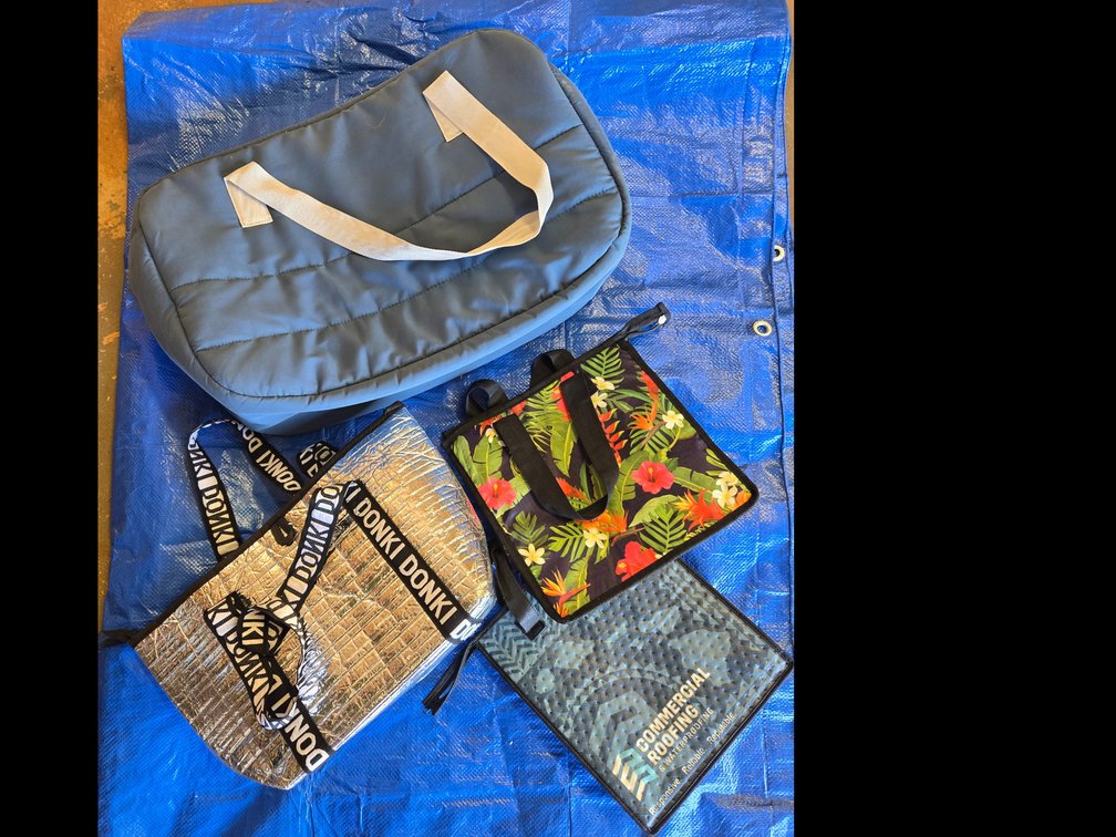 Lot of 4 Cooler Bags