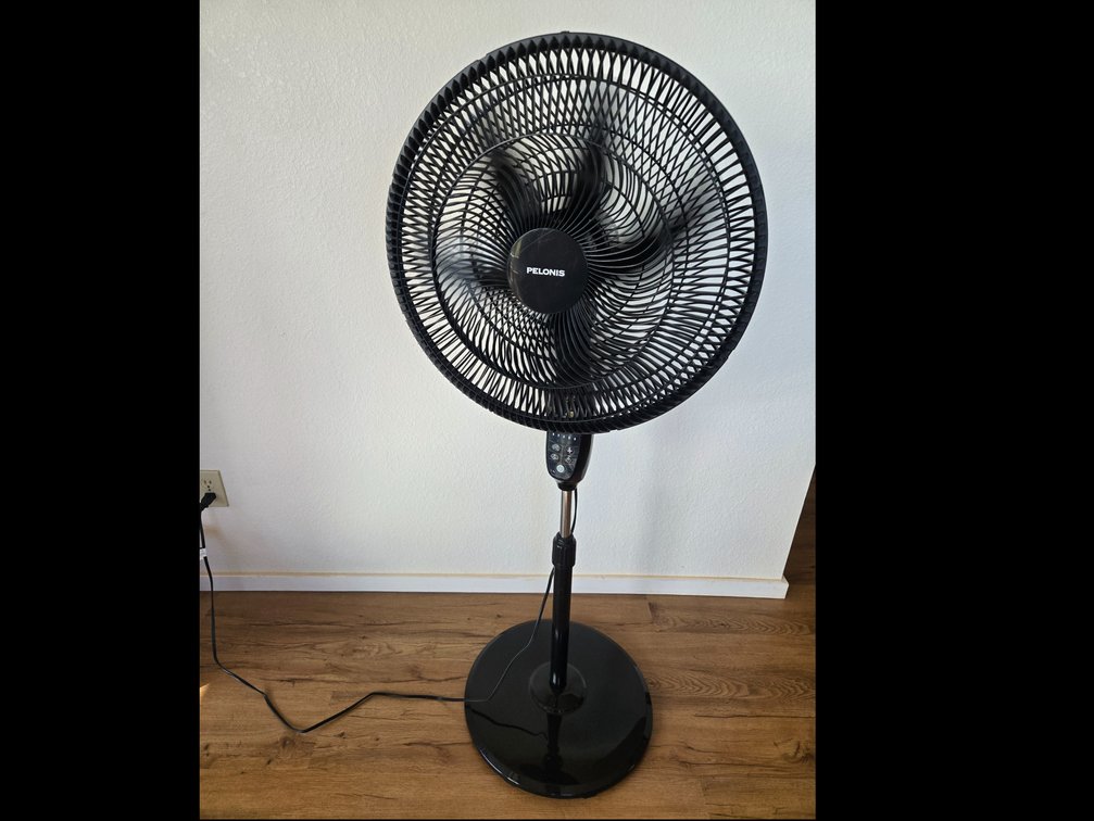 Pelonis Fan w/remote #4