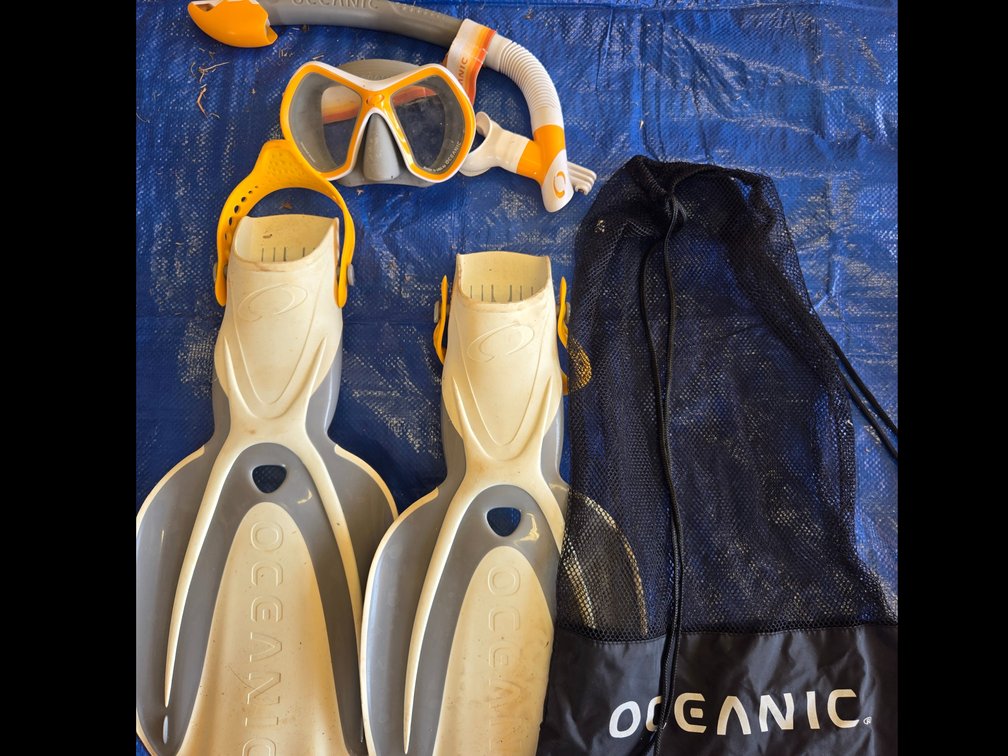 Oceanic Fins, Snorkel, and Bag