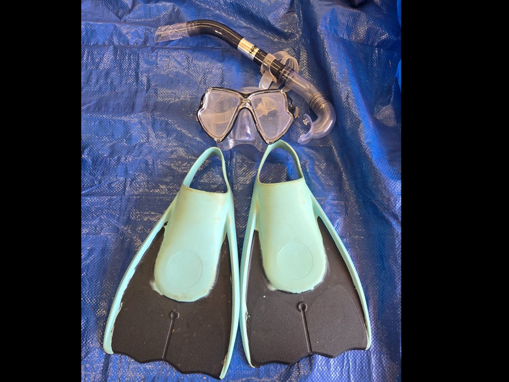 Fins and Snorkel