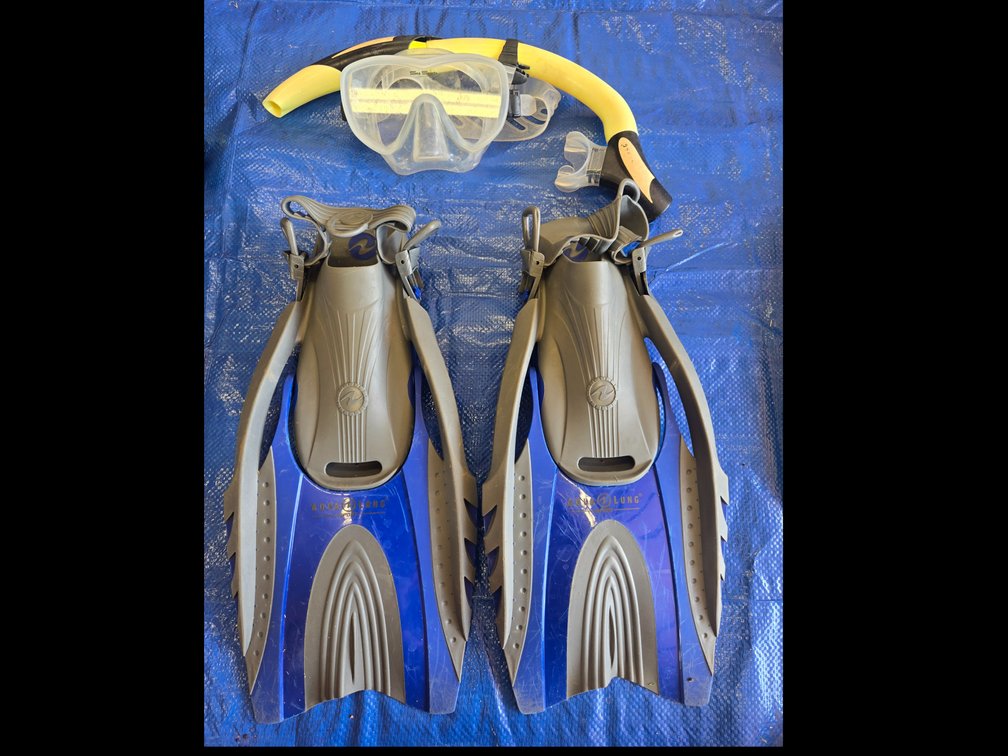 Aqua Lung Fins and Snorkel