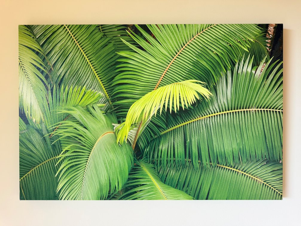 Tropical Palm Leaf Canvas Wall Art