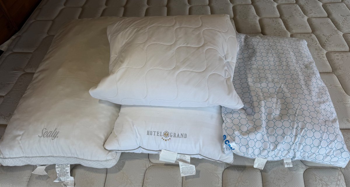 3 Bed Pillows and Mattress Cover