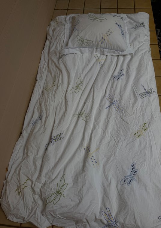 Pottery Barn Dragonfly Comforter with Matching Sham