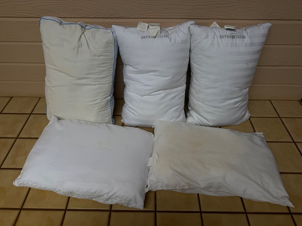 Bed Pillows