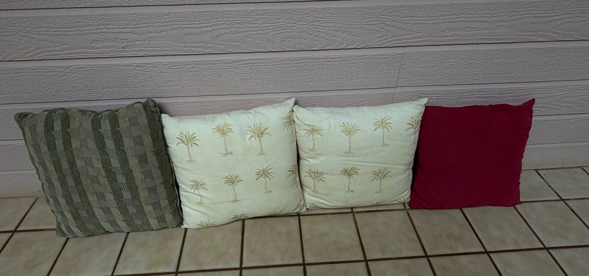 Throw Pillows