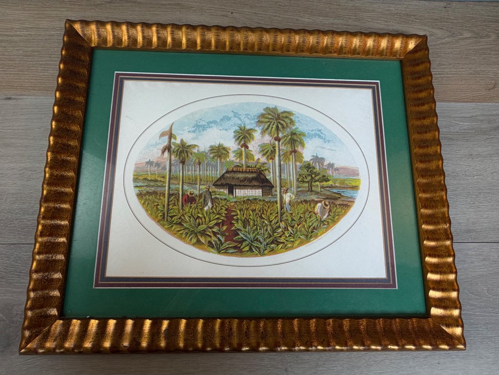 Tropical Art Print