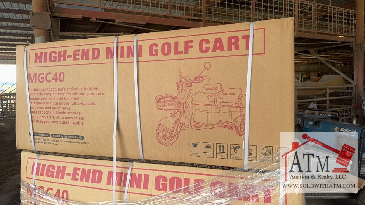 NEW SDLanch MGC40 Electric Tricycle - Red