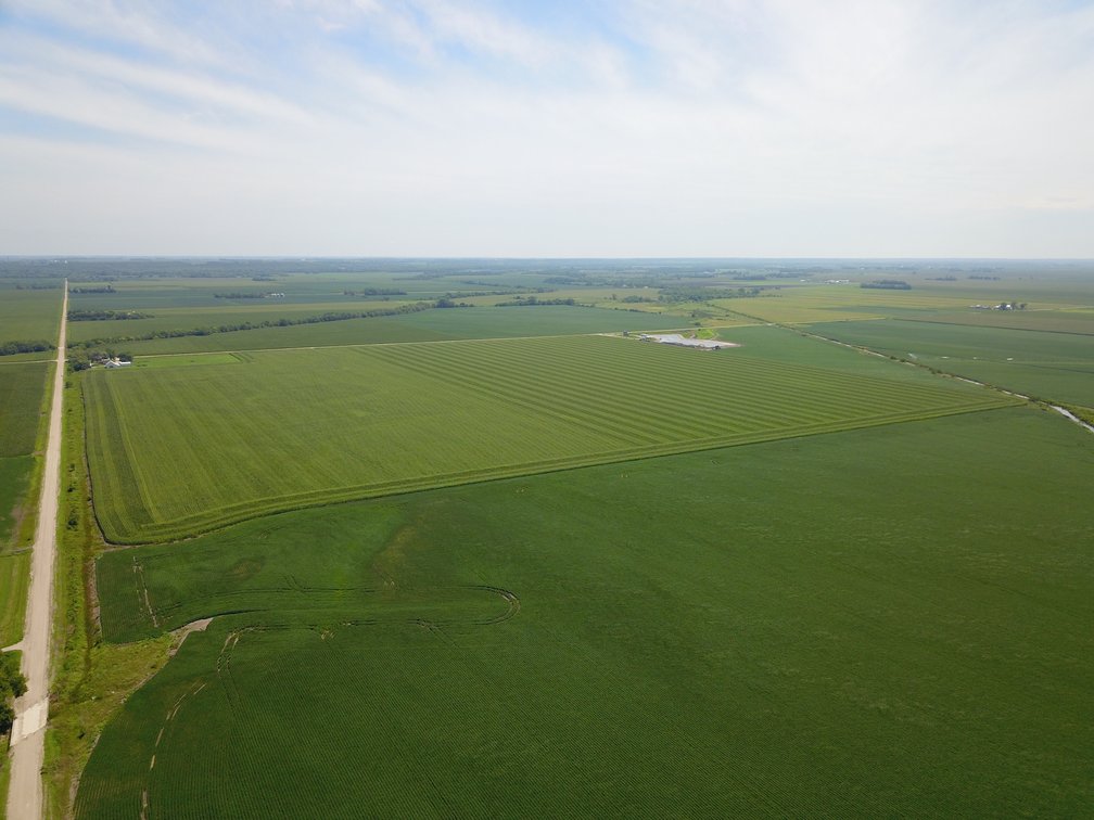 Image for TOP PRODUCING SOUTHEASTERN DODGE CO NON-IRRIGATED NO RESERVE FARMLAND AUCTION