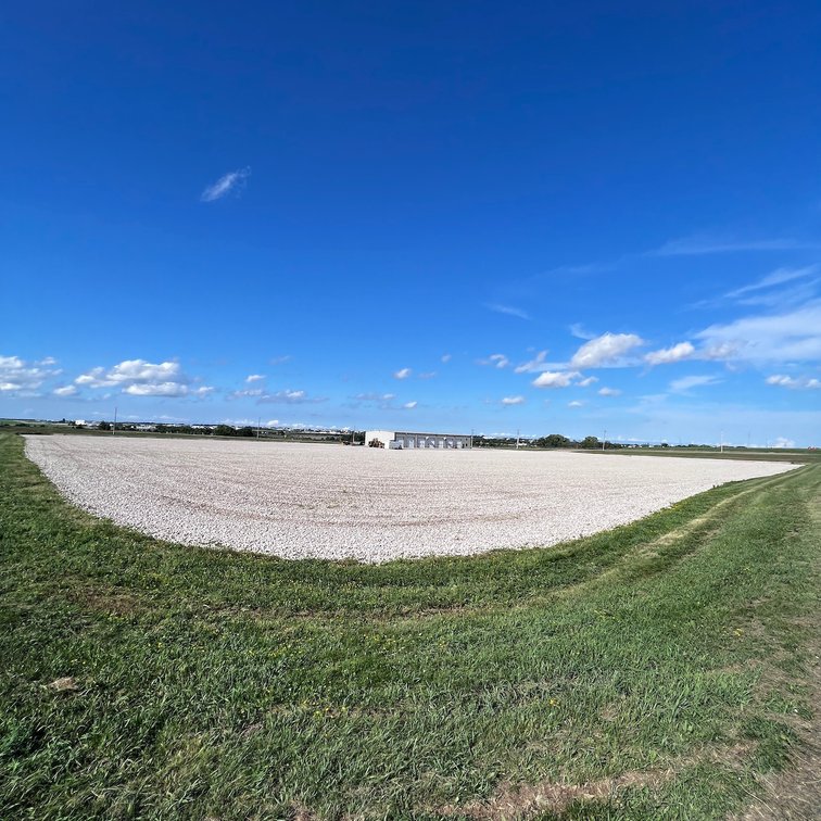 Image for TREMENDOUS HIGH VISIBILITY COMMERCIAL PROPERTY NO RESERVE LIVE AUCTION