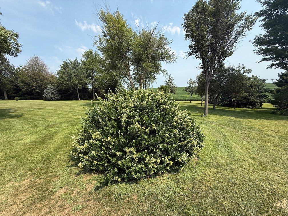 Image for Super Neat Acreage & Personal Property No Reserve Retirement LIVE Auction