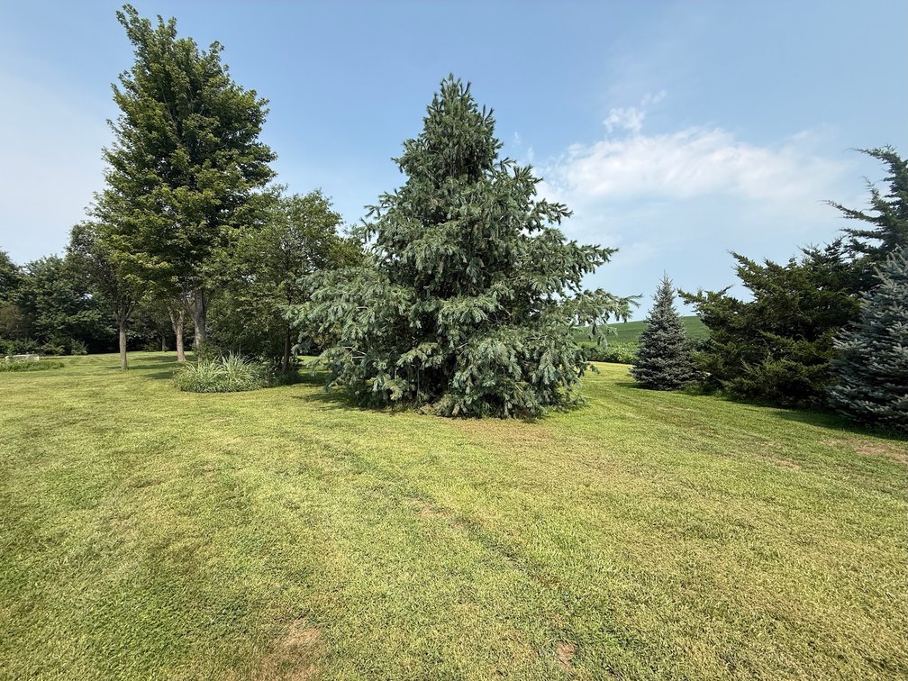 Image for Super Neat Acreage & Personal Property No Reserve Retirement LIVE Auction