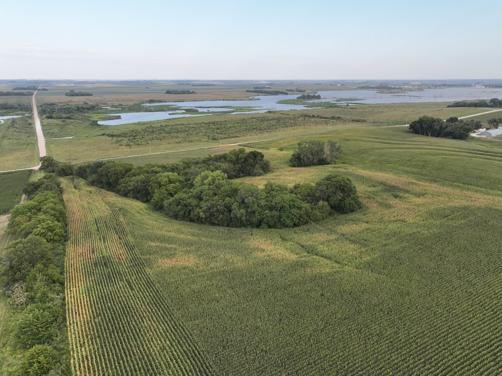 Image for Highly Visible Commercial & Residential Development Potential No Reserve Land Auction