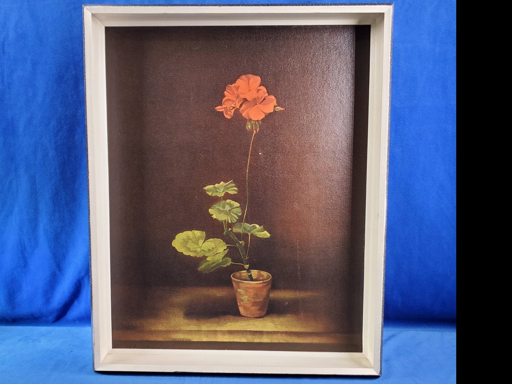 "Geranium" Painting by Jacobi Switzerland (LPO)