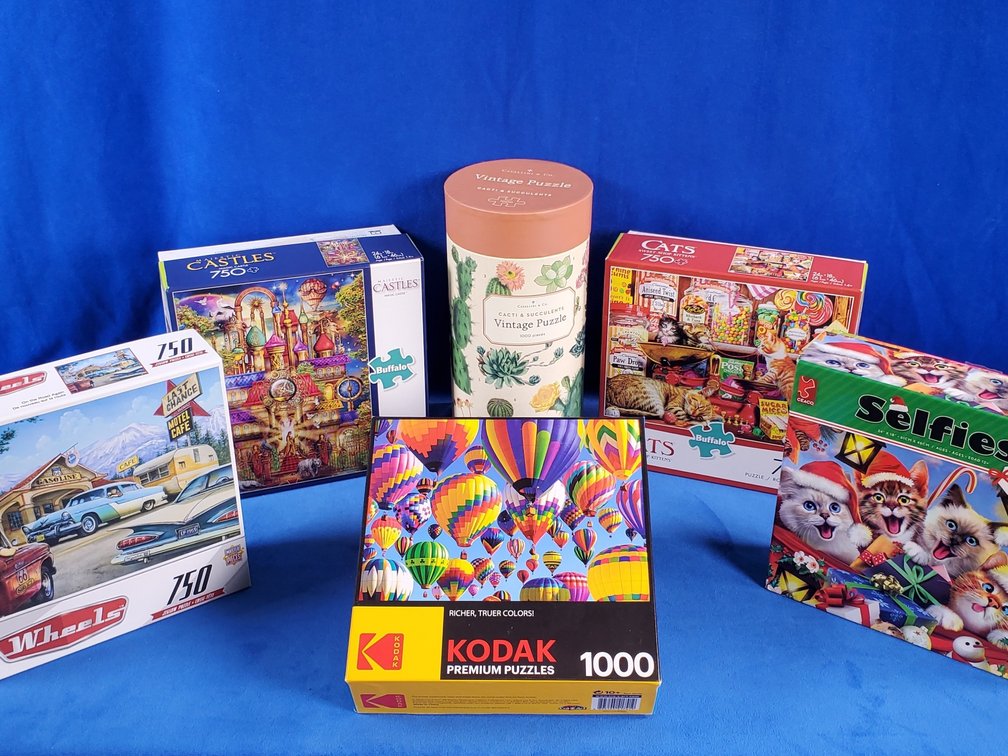 (6) Jigsaw Puzzles