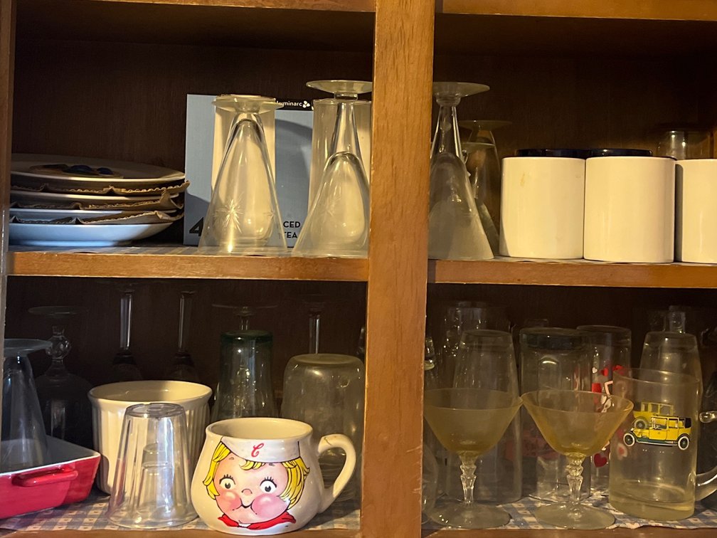 Kitchen Cabinet Cleanout (LPO)