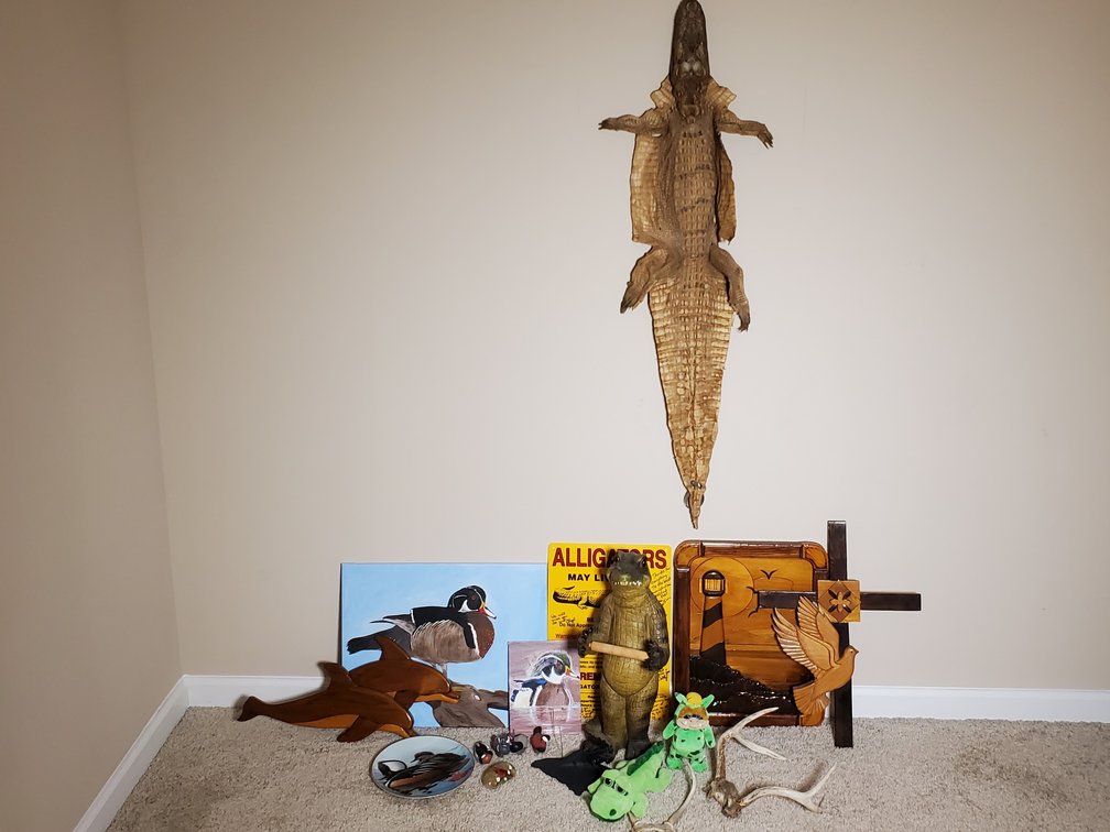 Wildlife Collection Including Alligator Skin w/Tag & More. (LPO)