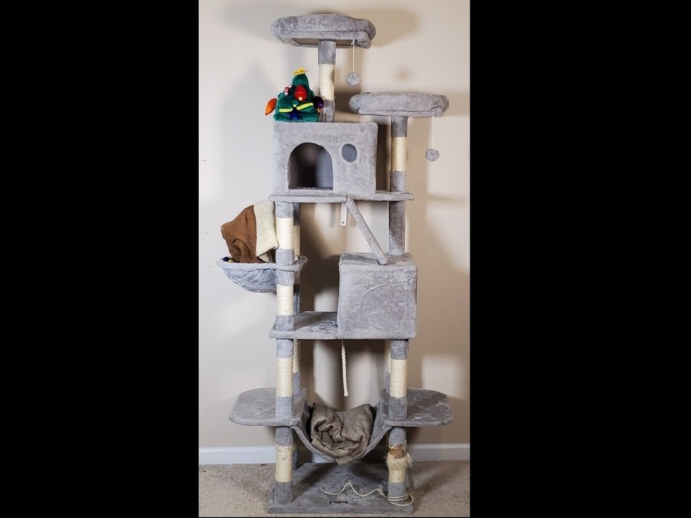 Cat Tower & More (LPO)