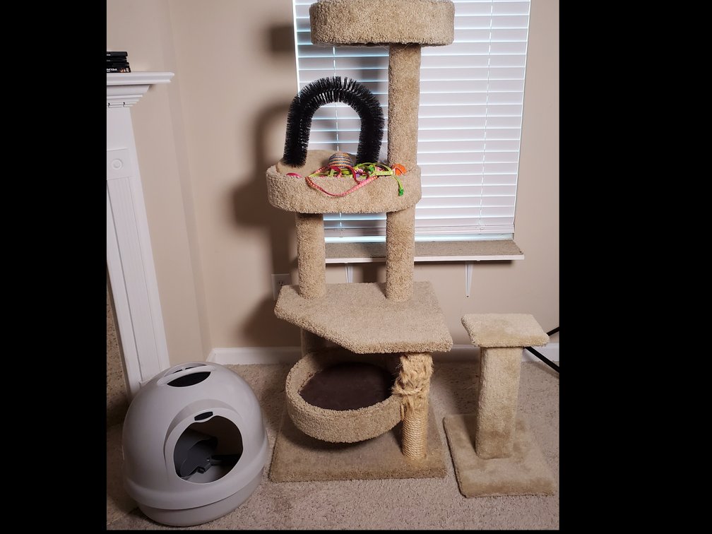 Cat Tower, Scratch Post, Litter Box & More (LPO)