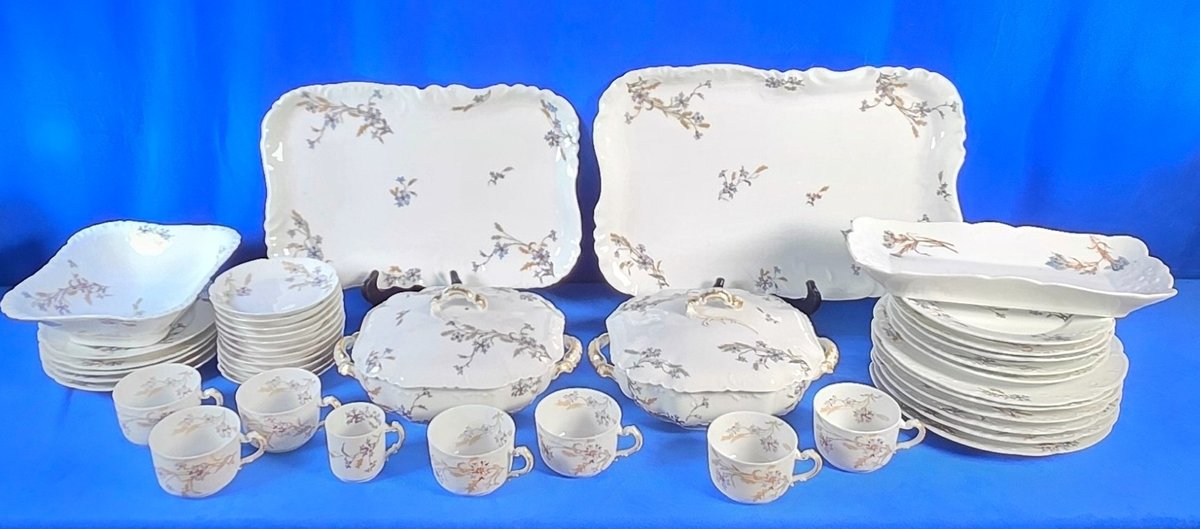 Haviland Co. Limoges "Forget Me Not" China