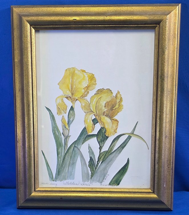 Lucy Hollis 'Golden Iris' Framed Artist Proof