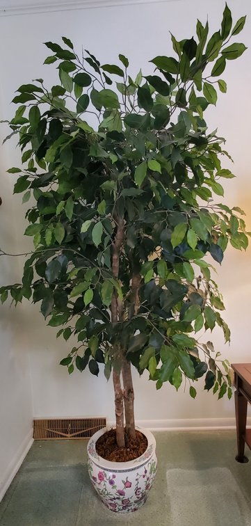 Artificial Tree in Ceramic Pot   (LPO)